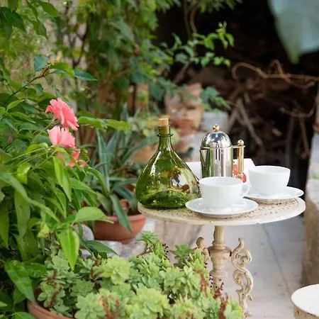 Silva Appartamento Alberobello